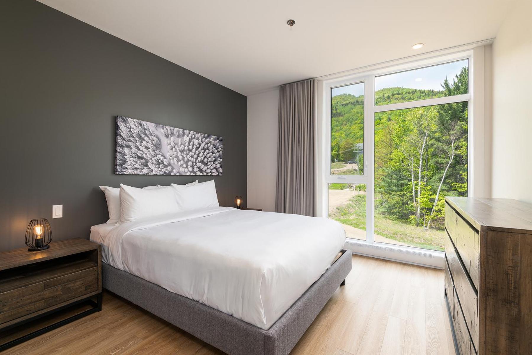 Les Appartements Du Massif De Charlevoix Петит-Ривьер-Сен-Франсуа Номер фото